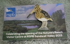 RSPB Bird Pin Badge - Snipe On Picture Backing Card