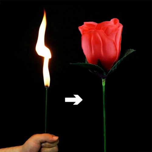 Torch rose fire magic - to, trick