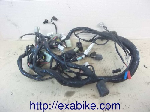 Power harness for triumph - power,