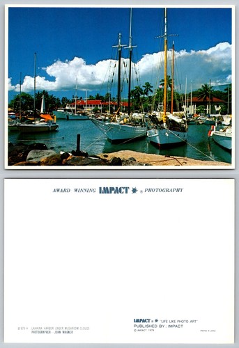 Lahaina harbor maui - harbor,