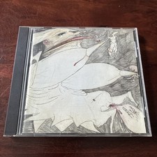 RUDIMENTARY PENI Echoes Of Anguish CD EP - Rare Punk Hardcore Minor Threat Void