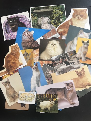 Vintage cats collage art - cats,