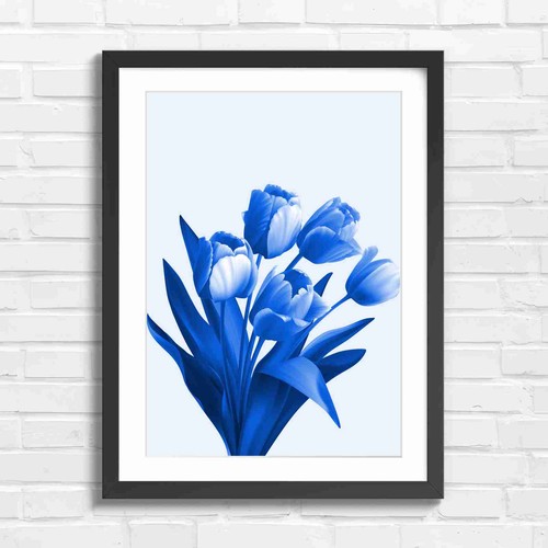 Delicate pink tulips bloom - pink,