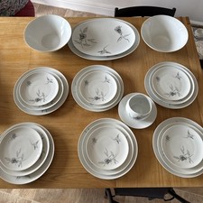 Rosenthal Continental China Raymond Loewy Jet Rose Dinner Service For 6 (23 P)