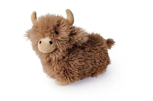 Scottish highland hairy cow - scottish,