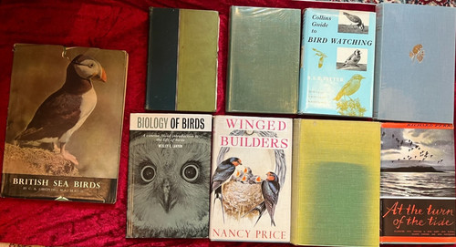 Collection vintage bird books - vintage,