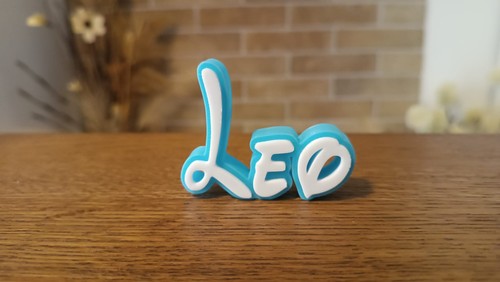 Leo personalized disney name - leo,