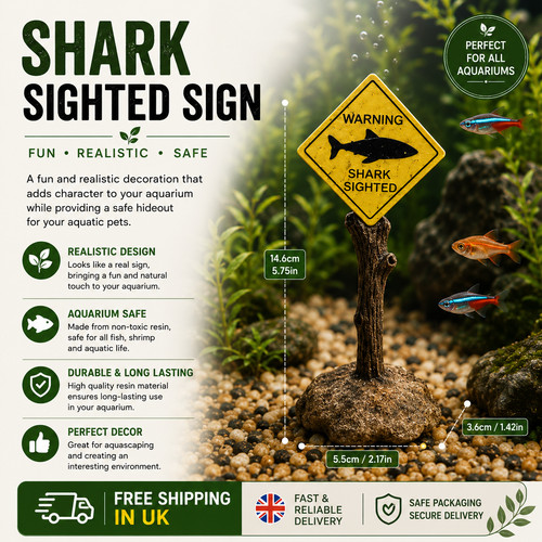 Shark sighted aquarium - sighted,
