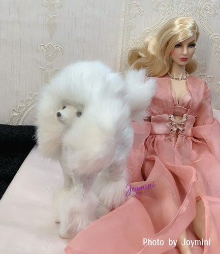 Mini white poodle - 1:6,