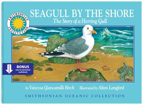 Seagull the shore - by,