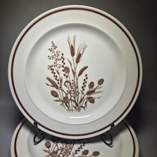 5  J & G MEAKIN Vintage Country Lane Dinner Plates 10" Dinning Set England 