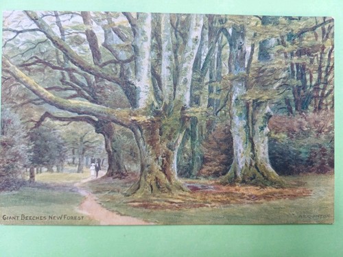 Post card salmon - post, ar