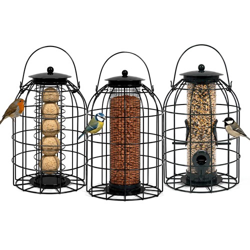 Squirrel proof bird feeders - squirrel,