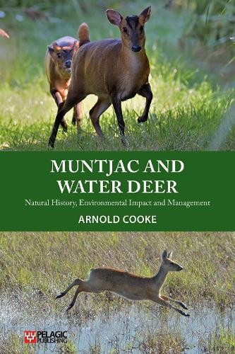 Muntjac and water deer - deer, by