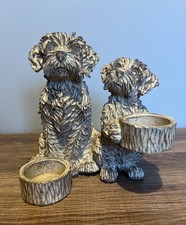 NEXT HOME CHARLIE COCKAPOO