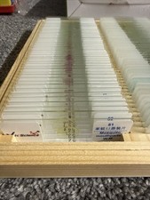 100 Kinds Biological