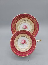 PARAGON PINK CABBAGE ROSE W/