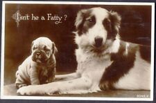 Shar Pei Puppy and Friend. 1940 Vintage Real Photo Postcard. FRee UK Postage