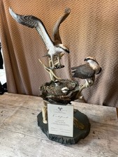 Border Fine Arts From The Spey