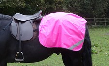 Fluorescent hi viz horse