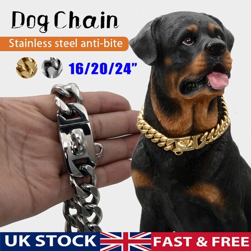 Stainless steel collar cuban - stainless,