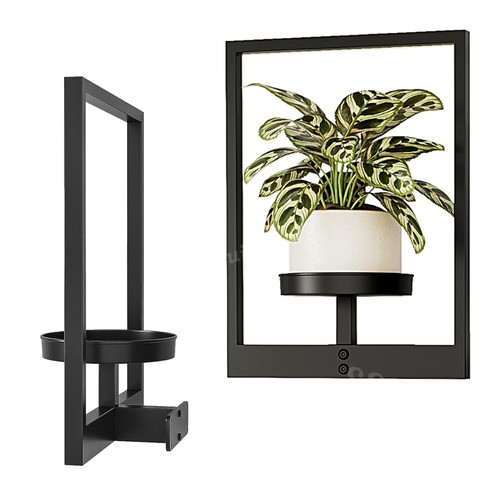 Bamworld wall mounted plant - bamworld,