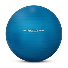 Blue Exercise Ball Structure Swiss Fitness Ball  65cm