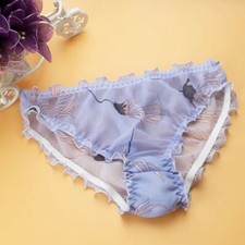 Womens Georgette Silk Sheer