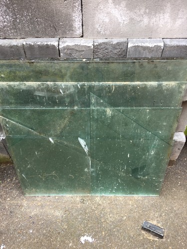 Greenhouse glass 20x16 - greenhouse,