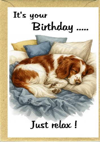 Welsh springer spaniel dog - spaniel,