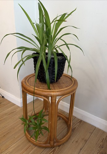 Vintage boho round cane woven - boho,
