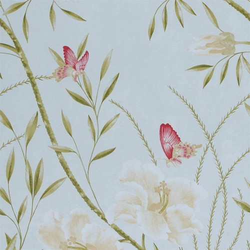 75018 harlequin papillon - 75018,