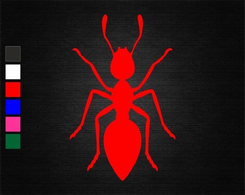 Ant insect vinyl decal sticker - decal,