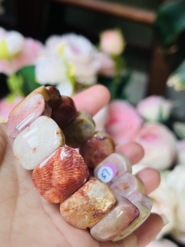 Natural agatized coral fossil - natural,