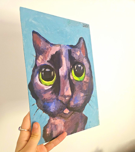 Funny original cat - funny,