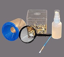 Stick Insect,Leaf Insect