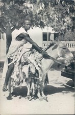 French Africa Senegal machette