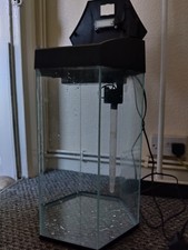 38L AA Aquarium Hexagonal Fish Tank – Stylish Glass Aquarium