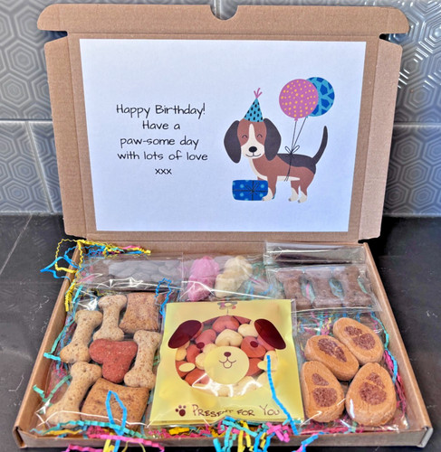 Dog birthday gift treat - birthday,