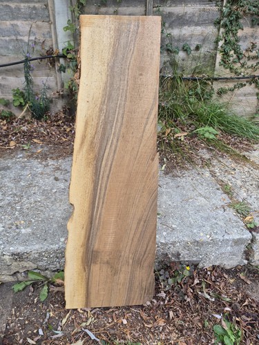 English walnut live edge - walnut,