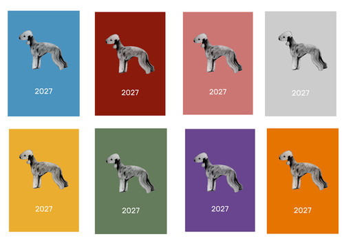 Bedlington terrier 2027 diary - 2027,
