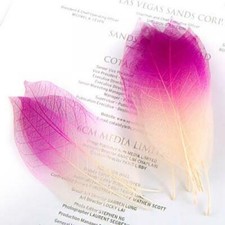 50x Assorted Color Magnolia Skeleton Leaves Card Scrapbooking for DIY Craft