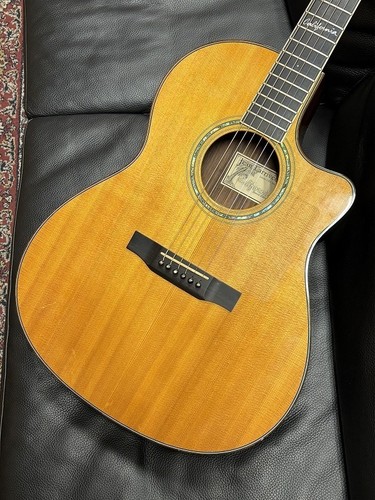 Larrivee special edition - lv-19,