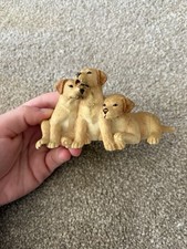 dogs and pups galore border