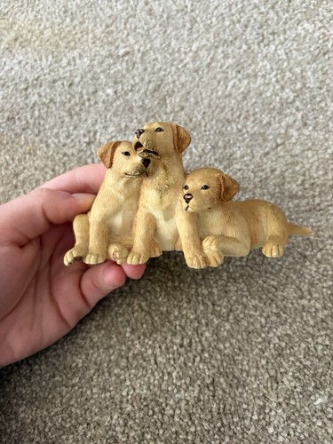 Dogs and pups galore - and,