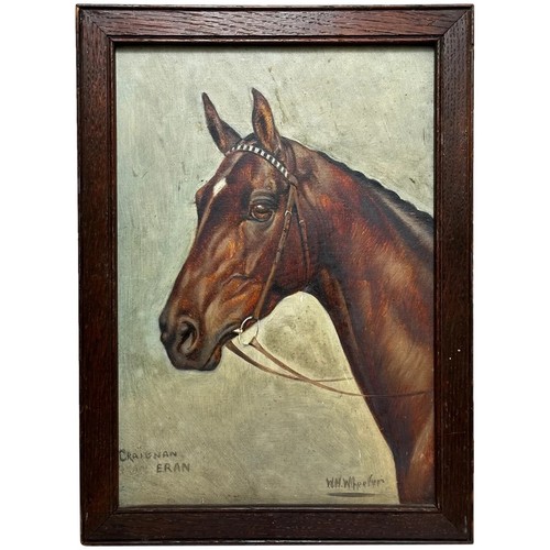 Equine portrait of - 🐴,