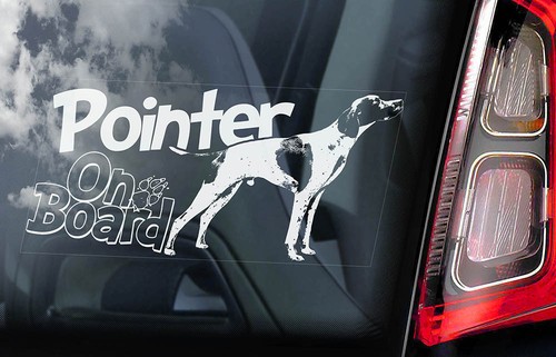 Pointer car sticker english - pointer, sticker,