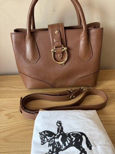 Paul costelloe dressage - paul,