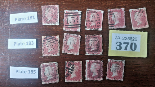Penny reds plates - penny,