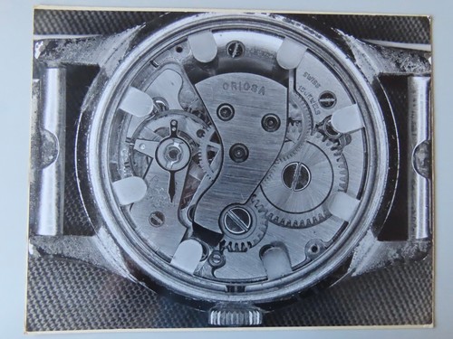 Oriosa watch movement - oriosa,